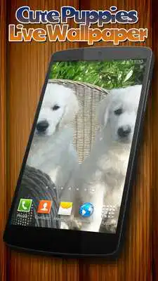 Play Cute Puppies live wallpaper