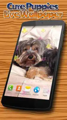 Play Cute Puppies live wallpaper