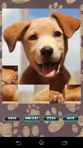 Play Cute Puppies Puzzle  and enjoy Cute Puppies Puzzle with UptoPlay