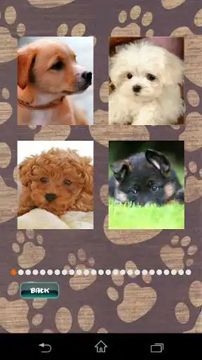 Play Cute Puppies Puzzle as an online game Cute Puppies Puzzle with UptoPlay