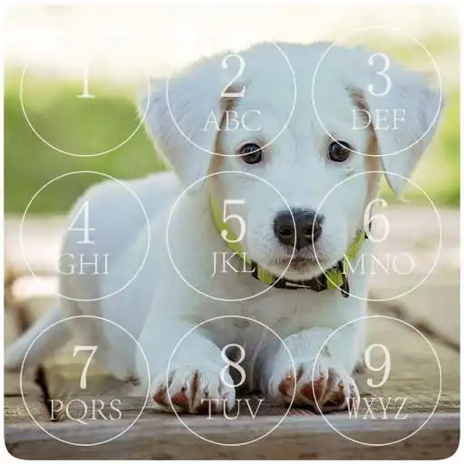 Free play online Cute Puppy Lock Screen APK Free play online Cute Puppy Lock Screen APK