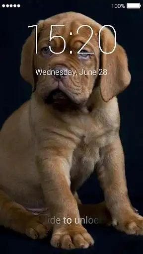 Play Cute Puppy Lock Screen