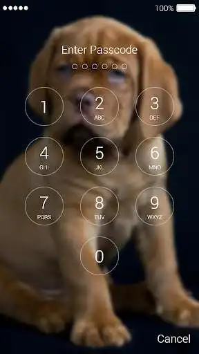 Play Cute Puppy Lock Screen