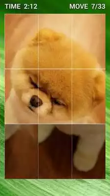 Play Cute Puppy Puzzle for Kids