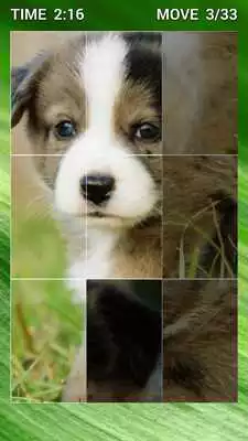 Play Cute Puppy Puzzle for Kids