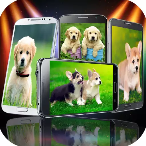 Play Cute Puppy Wallpapers HD APK