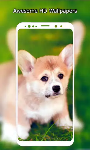 Play Cute Puppy Wallpapers HD  and enjoy Cute Puppy Wallpapers HD with UptoPlay