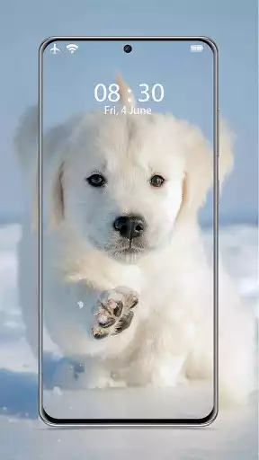 Play Cute Puppy wallpapers as an online game Cute Puppy wallpapers with UptoPlay