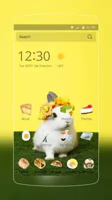 Play Cute Rabbit Cartoon