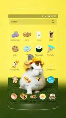 Play Cute Rabbit Cartoon