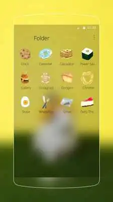 Play Cute Rabbit Cartoon