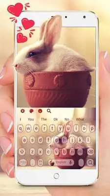 Play Cute Rabbit Keyboard