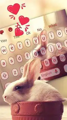 Play Cute Rabbit Keyboard