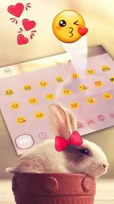 Play Cute Rabbit Keyboard
