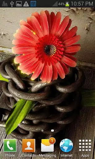 Play Cute Red Flower LWP
