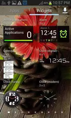 Play Cute Red Flower LWP