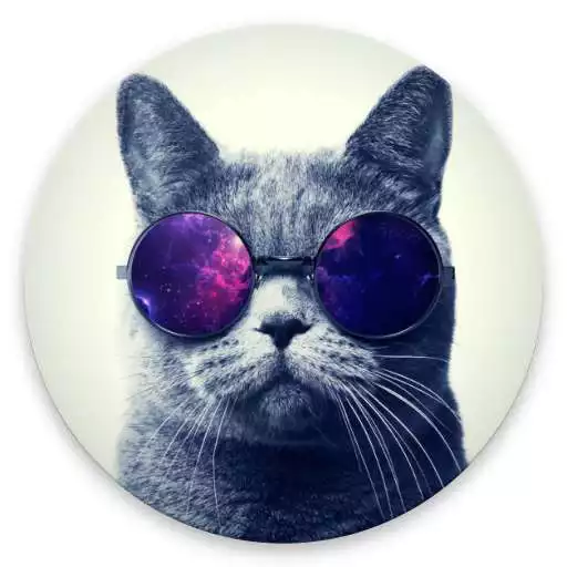 Play Cutest Wallpapers HD APK Play Cutest Wallpapers HD APK