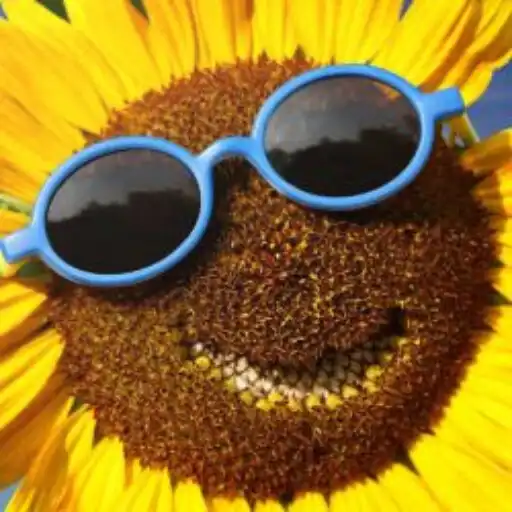 Play Cute Sunflower Wallpaper APK