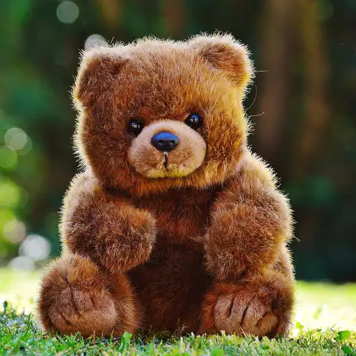 Play Cute Teddy Bear Wallpaper APK