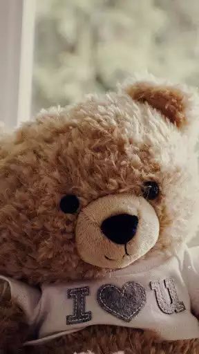 Play Cute Teddy Bear Wallpaper  and enjoy Cute Teddy Bear Wallpaper with UptoPlay