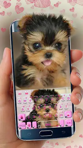 Play Cute Tongue Cup Puppy Keyboard  and enjoy Cute Tongue Cup Puppy Keyboard with UptoPlay