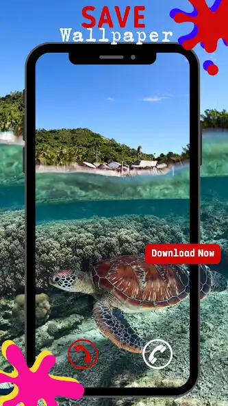 Play Cute Turtle Wallpaper HD as an online game online Cute Turtle Wallpaper HD with UptoPlay Play Cute Turtle Wallpaper HD as an online game Cute Turtle Wallpaper HD with UptoPlay