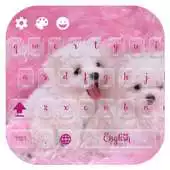 Free play online Cute Typewriter Kawaii Theme APK