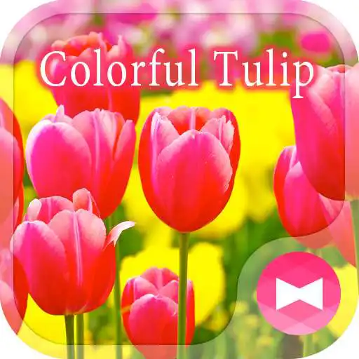 Run free android online Cute Wallpaper Colorful Tulip Theme APK Run free android online Cute Wallpaper Colorful Tulip Theme APK