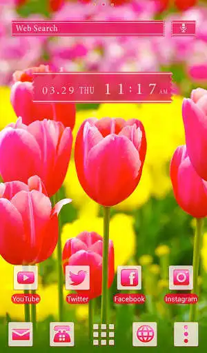 Play APK Cute Wallpaper Colorful Tulip Theme  and enjoy Cute Wallpaper Colorful Tulip Theme with UptoPlay jp.co.a_tm.android.plus_colorfulna_churip