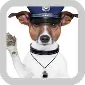 Free play online Cute Wallpapers Of Dogs APK Free play online Cute Wallpapers Of Dogs APK