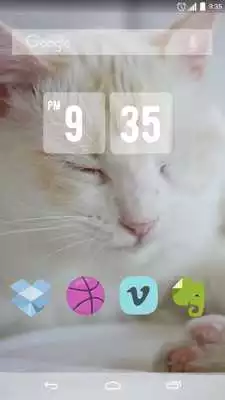 Play Cute White Cat Live Wallpaper