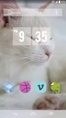 Play Cute White Cat Live Wallpaper