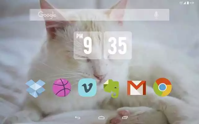 Play Cute White Cat Live Wallpaper