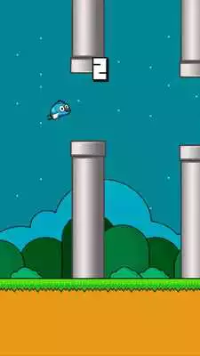 Play Cutie  Bird