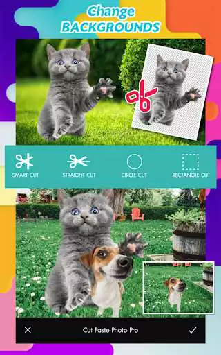 Play Cut Paste Photo