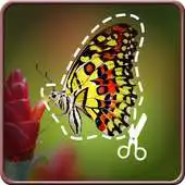 Free play online Cut Paste Photos Pro APK
