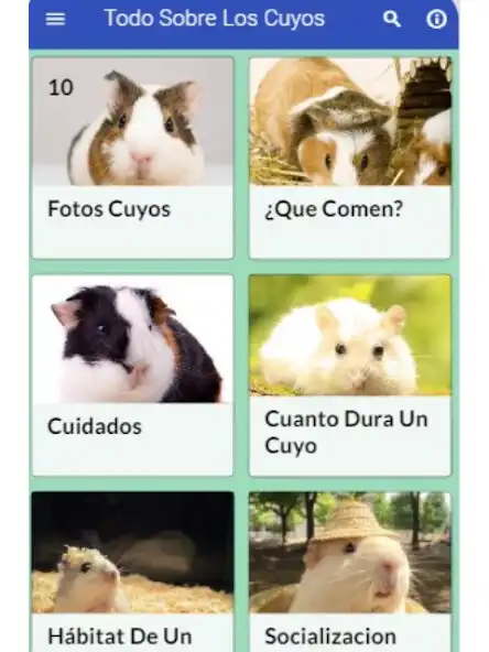 Play Cuyos  and enjoy Cuyos with UptoPlay