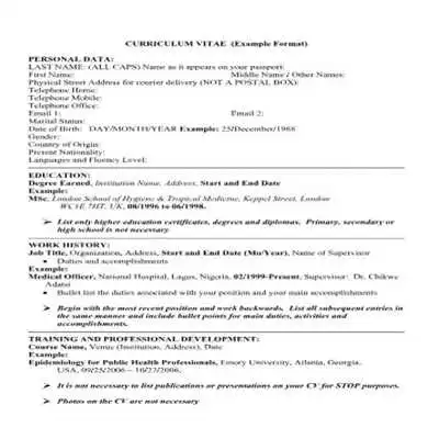 Play CV Formats