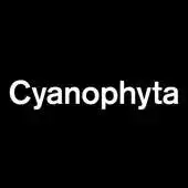 Free play online Cyanophyta APK Free play online Cyanophyta APK
