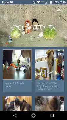 Play CyclokittyTV Play CyclokittyTV