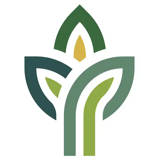 Play Cypress Green Life APK