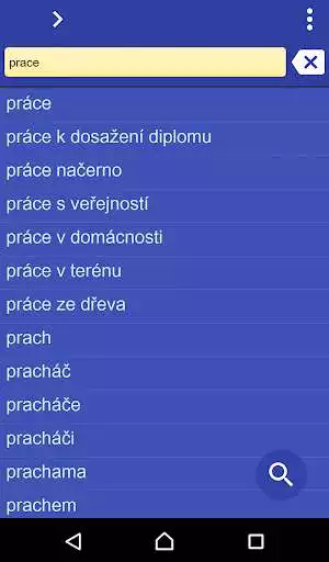 Play Czech Japanese dictionary