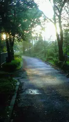 Play D30m_TestApp_DF_01