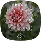 Free play online Dahlia Lock Screen APK