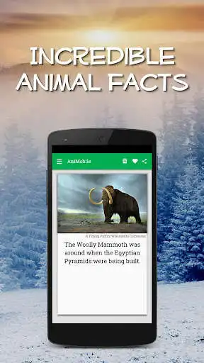 Play Daily Animal Facts and Pics  and enjoy Daily Animal Facts and Pics with UptoPlay