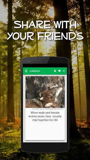 Play Daily Animal Facts and Pics as an online game Daily Animal Facts and Pics with UptoPlay
