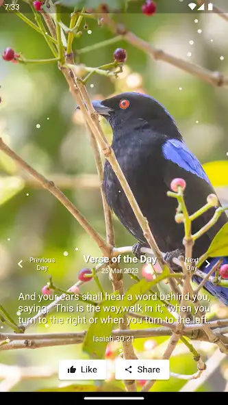 Play Daily Bible Verse  Bible Quote as an online game Daily Bible Verse  Bible Quote with UptoPlay
