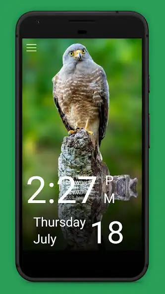 Play Daily Bird as an online game Daily Bird with UptoPlay