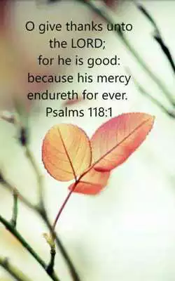 Play DailyBread