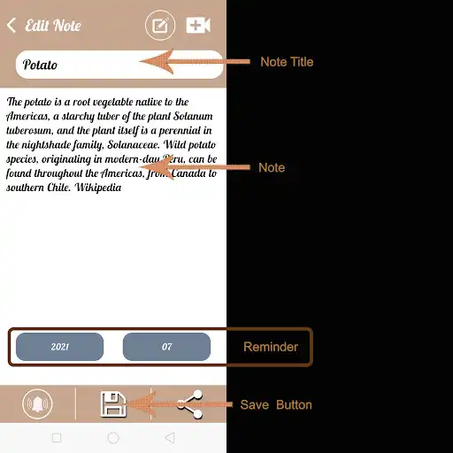 Play Daily Diary as an online game Daily Diary with UptoPlay